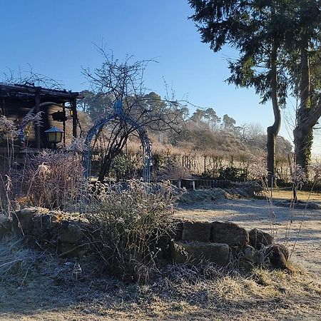 Gemuetliches Ferienhaus Mit Grossem Garten, Ideal Fuer Naturliebhaber Gerhardshofen Exterior foto